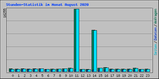 Stunden-Statistik im Monat August 2020