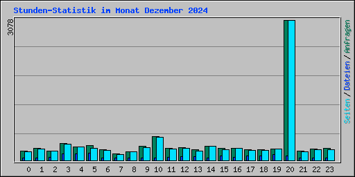 Stunden-Statistik im Monat Dezember 2024