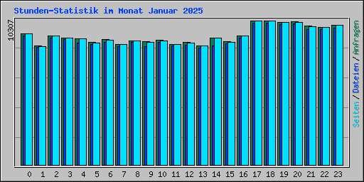 Stunden-Statistik im Monat Januar 2025