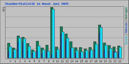 Stunden-Statistik im Monat Juni 2025