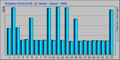 Stunden-Statistik im Monat Januar 2026